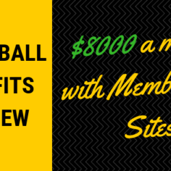 SnowBall Profits Review