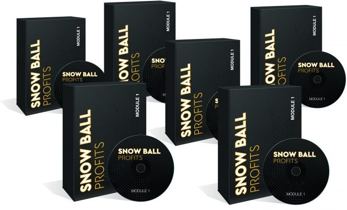 SnowBall profits review
