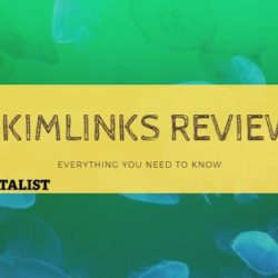 Skimlinks review - detailed and complete. All you need to know about Skimlinks