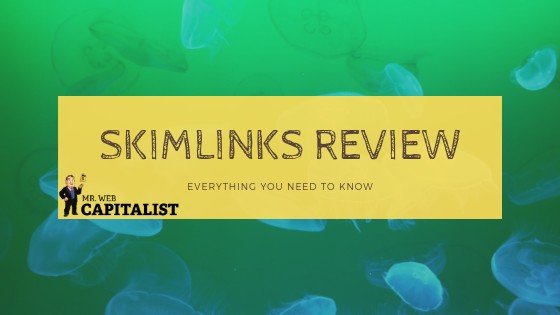 Skimlinks review - detailed and complete. All you need to know about Skimlinks