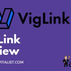viglink detailed in-depth review