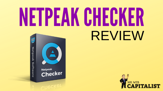 Netpeak Checker Review 2019 title image