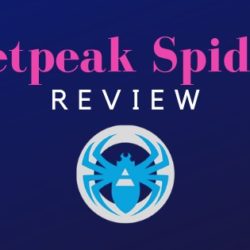 Netpeak Spider review by Mr. Web Capitalist