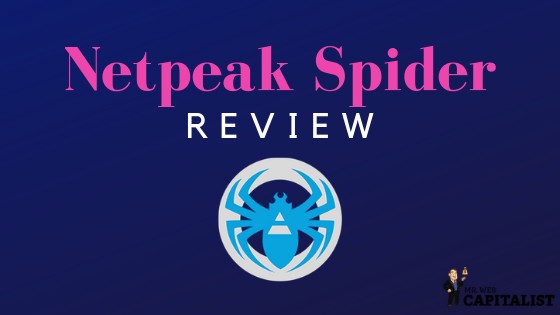 Netpeak Spider review by Mr. Web Capitalist