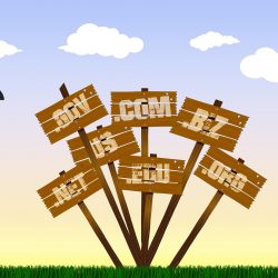 What You Should Know About Domain Names