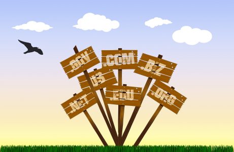 What You Should Know About Domain Names