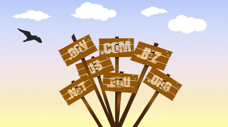 What You Should Know About Domain Names