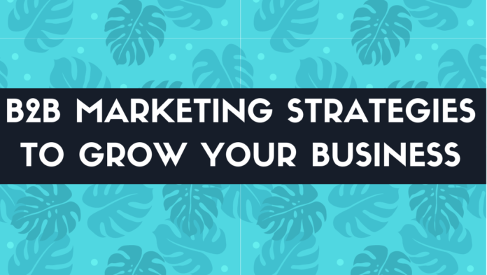 B2B Marketing Strategies To Grow Your Business | Mr. Web Capitalist